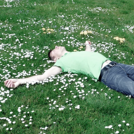 Mann liegt entspannt auf Wiese mit Gänseblümchen